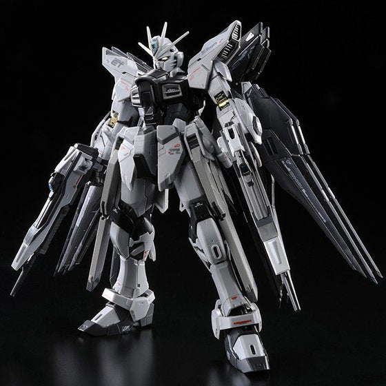 P Bandai 1/144 RG Strike Freedom Gundam Deactive Mode