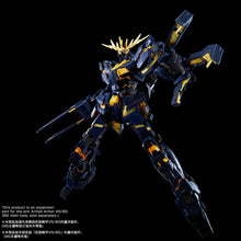 Load image into Gallery viewer, P Bandai RG 1/144 Expansion Unit Armed Armor VN/BS
