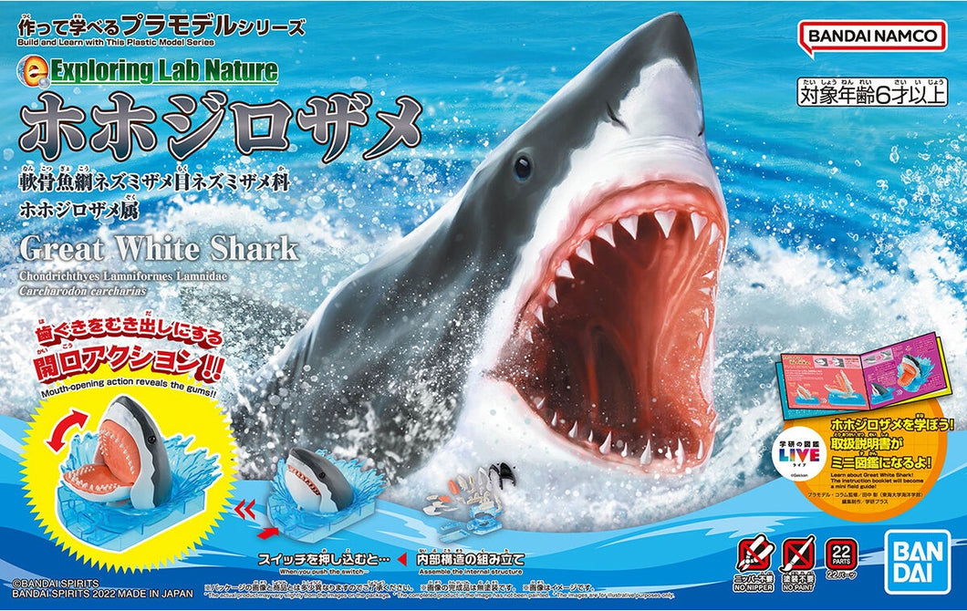 Exploring Lab Nature Carcharodon Carcharias Great White Shark