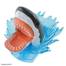 Load image into Gallery viewer, Exploring Lab Nature Carcharodon Carcharias Great White Shark
