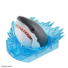 Load image into Gallery viewer, Exploring Lab Nature Carcharodon Carcharias Great White Shark

